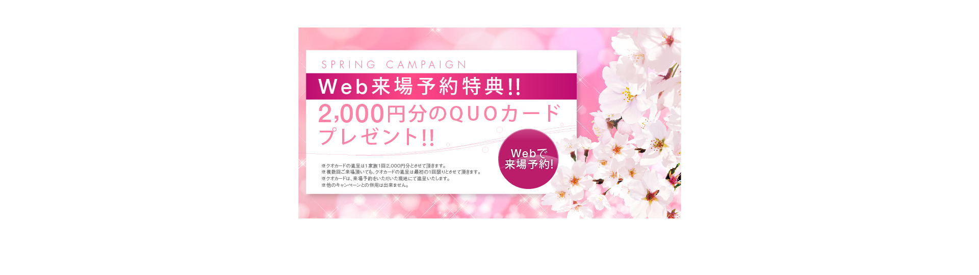 Spring Campaign