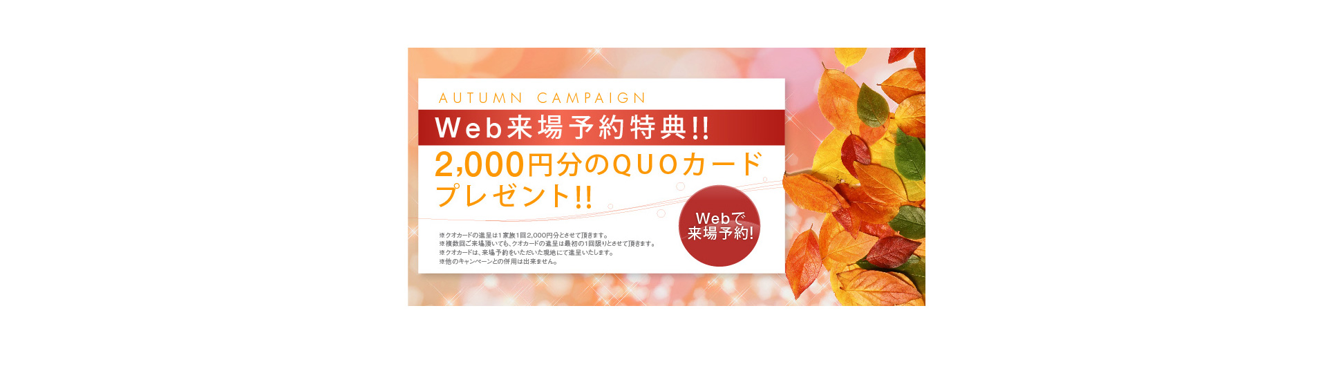 autumnCampaign