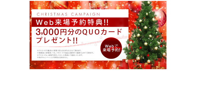 Christmas Campaign