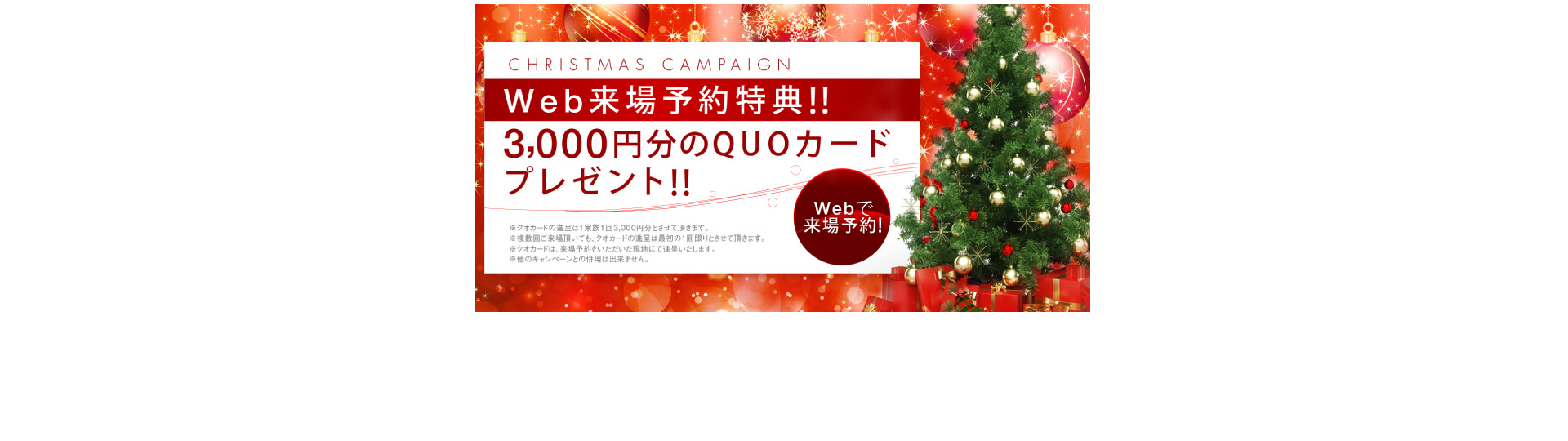 Christmas Campaign