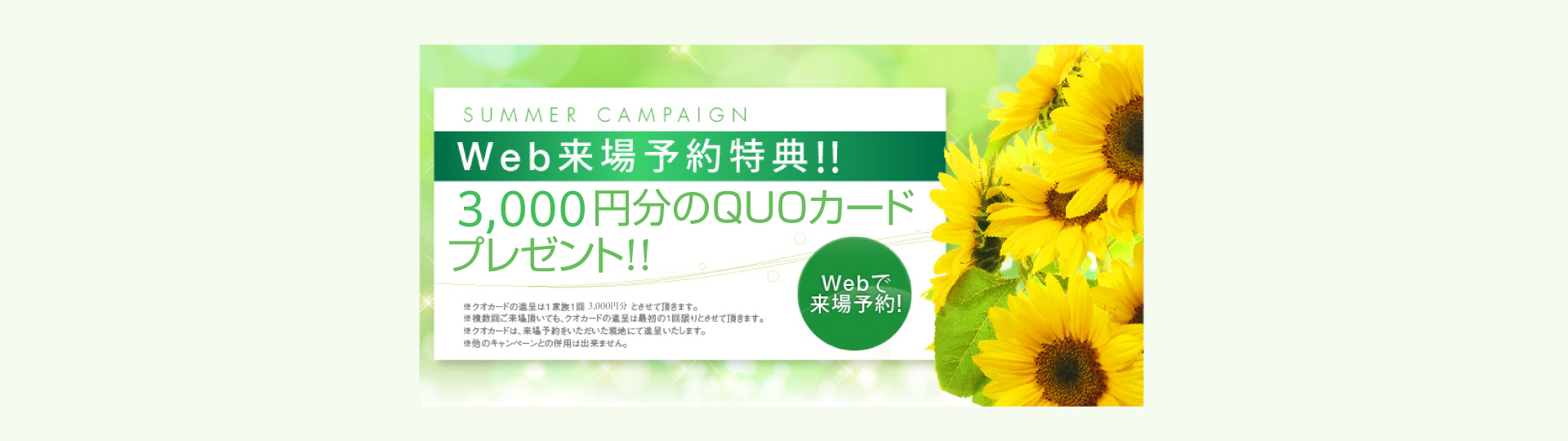 SummerCampaign